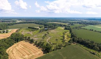 6381 Hwy 301, Alcolu, SC 29001