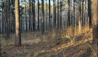 00 Lighthouse Pt. Pt 12 C, Lincolnton, GA 30817