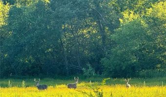 N3953-89 Bear Pen Road, Arkansaw, WI 54721