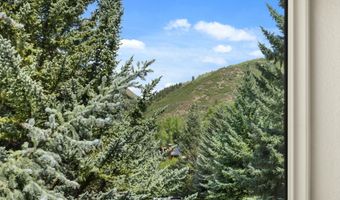 950 VINE St, Aspen, CO 81611