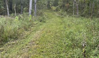 County Road P-305, Ava, MO 65608