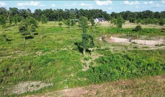 138 Little River 183, Ashdown, AR 71822
