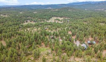 1838 Beaver Creek Dr, Bayfield, CO 81122