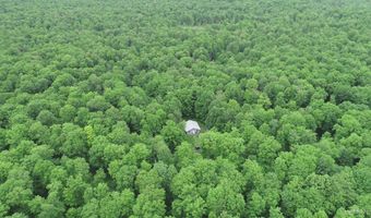40 Acres The Grade Rd, Amasa, MI 49920
