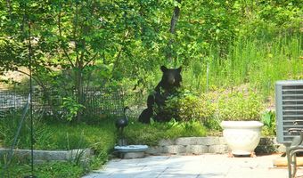 229 Pine Valley Dr, Bassett, VA 24055