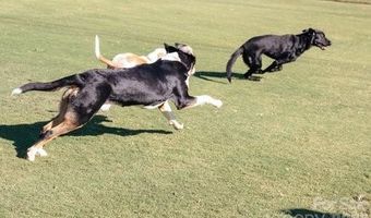 27 Apple Orchard Ln, Lake Wylie, SC 29710