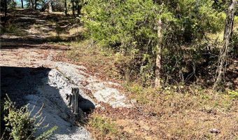 1011 Granny Hollar Rd, Atkins, AR 72823