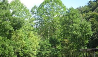 43 Sanctuary Ln, Alderson, WV 24910