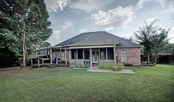 913 Sea Turtle Cv, Brandon, MS 39047