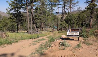 Old Camp Rd, Bellvue, CO 80512