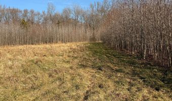 BLACK SWAMP ROAD, Felton, DE 19943