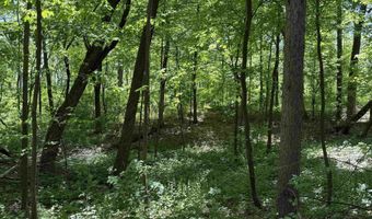 ARROWHEAD ROAD lot 16, Amherst Junction, WI 54407