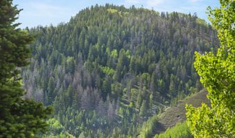 119 E Cooper Ave 25, Aspen, CO 81611