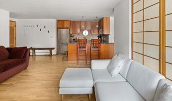 935 E Hopkins Ave 7, Aspen, CO 81611