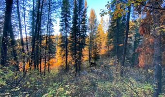 400 GROVER DRY FARM Rd, Afton, WY 83110