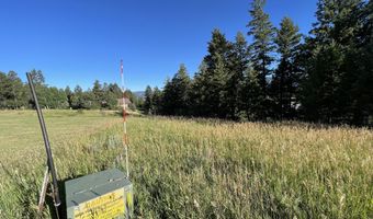 682 OVERLOOK Cir, Alpine, WY 83128