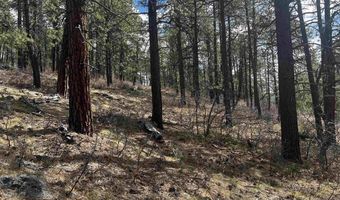101 Pine Crest Dr, Bayfield, CO 81122