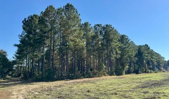 TBD Binnicker Bridge Road, Bamberg, SC 29003