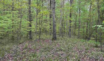 7046 S State Road 145, Birdseye, IN 47513