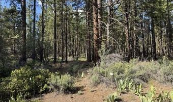 Thunder Bear Road, Bonanza, OR 97623