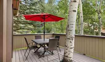 1443 Crystal Lake Rd 3E, Aspen, CO 81611