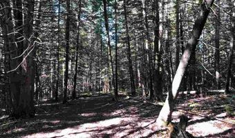 TBD Banwell, Alanson, MI 49706