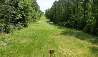 Co Rd 2337, Bay Springs, MS 39422