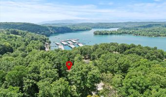 247 Lakeview Ln, Andersonville, TN 37705