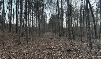 15548 Highway 15 N, Ackerman, MS 39735