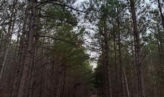 Piney Mountain Road lot 7, Appomattox, VA 24522