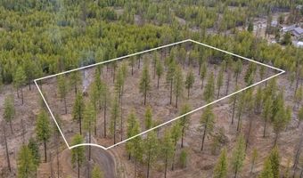 L5 B1 Wallace Lane, Blanchard, ID 83804