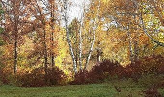 31538 County 23, Akeley, MN 56433