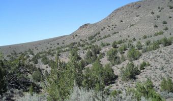 8210 Ml Crk Rd, Battle Mountain, NV 89820