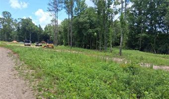 Dan Churchman Road, Axis, AL 36505