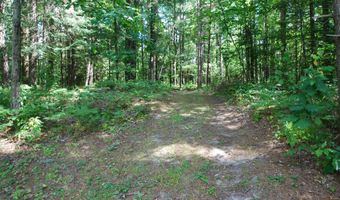 x Franklin Road, Alger, MI 48610