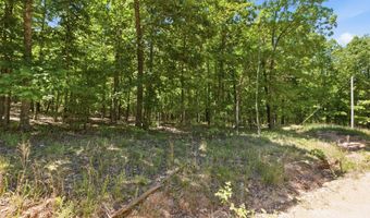 County Road 101, Alton, MO 65606