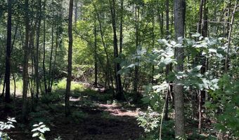 Lot 6 RICHMOND RD, Amelia Court House, VA 23002
