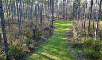 Highway 28, Abbeville, SC 29620