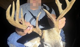 1037 Cr 300, Big Creek, MS 38914