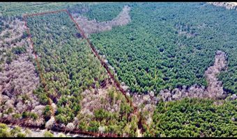 00 Old Plain Dealing Rd, Benton, LA 71006