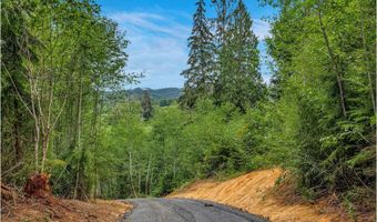 Ziak-Gnat Creek Ln, Astoria, OR 97103