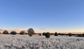 317 Forest Line Cir, Ash Fork, AZ 86320