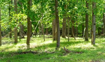 2441 TISDALE Rd, Barboursville, VA 22923