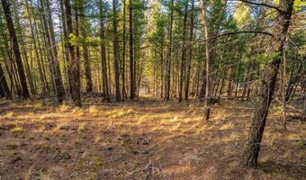 El Camino Real lot 35, Angel Fire, NM 87710