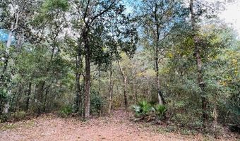 1058 78th Ave, Bell, FL 32619