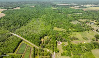 Beech Bluff Road, Beech Bluff, TN 38313