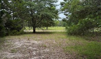 Tbd NW 67TH BOULEVARD, Alachua, FL 32615