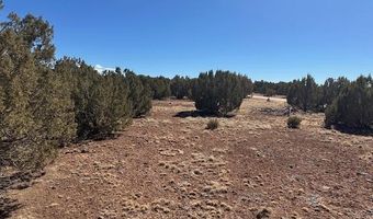 30 CR 8051 Rd, Concho, AZ 85924