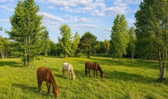 58 Acres Naples Ln, Arab, AL 35016