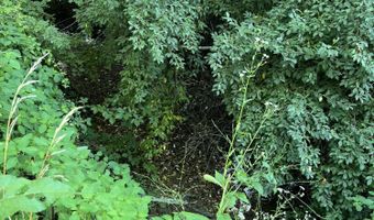 0 Dissapointment Hollow Rd, Barbourville, KY 40906